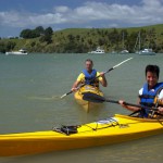 Kayaking in Whangaroa harbour